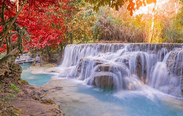 Day 8 Kuang Si Waterfalls