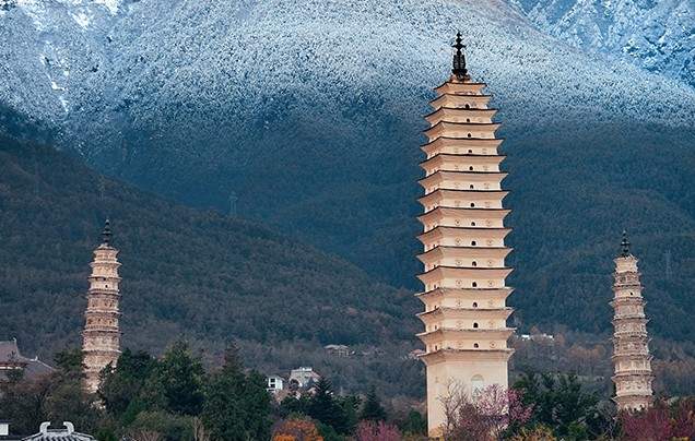 Day 16: Stone Forest