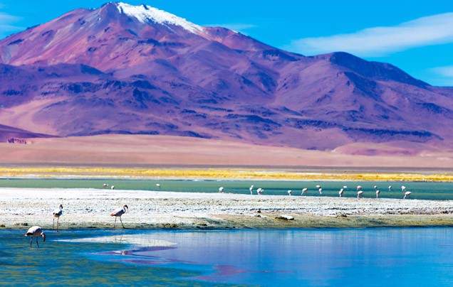 DAY 11: Sala de Uyuni