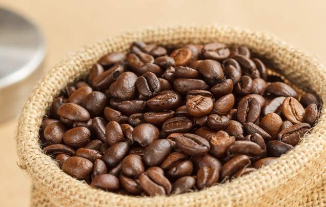 DAY 5: Coffee Plantations