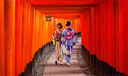 Exclusive Japan Business Class Upgrade Offer