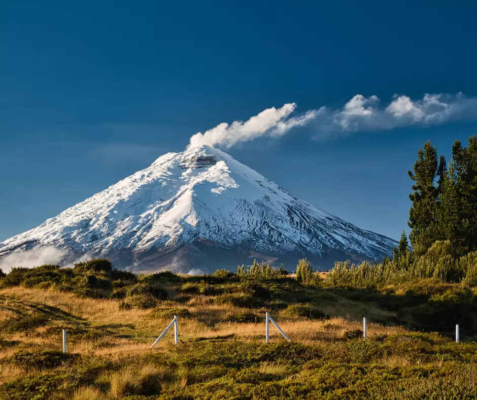 Natural Wonders of Ecuador & Galapagos