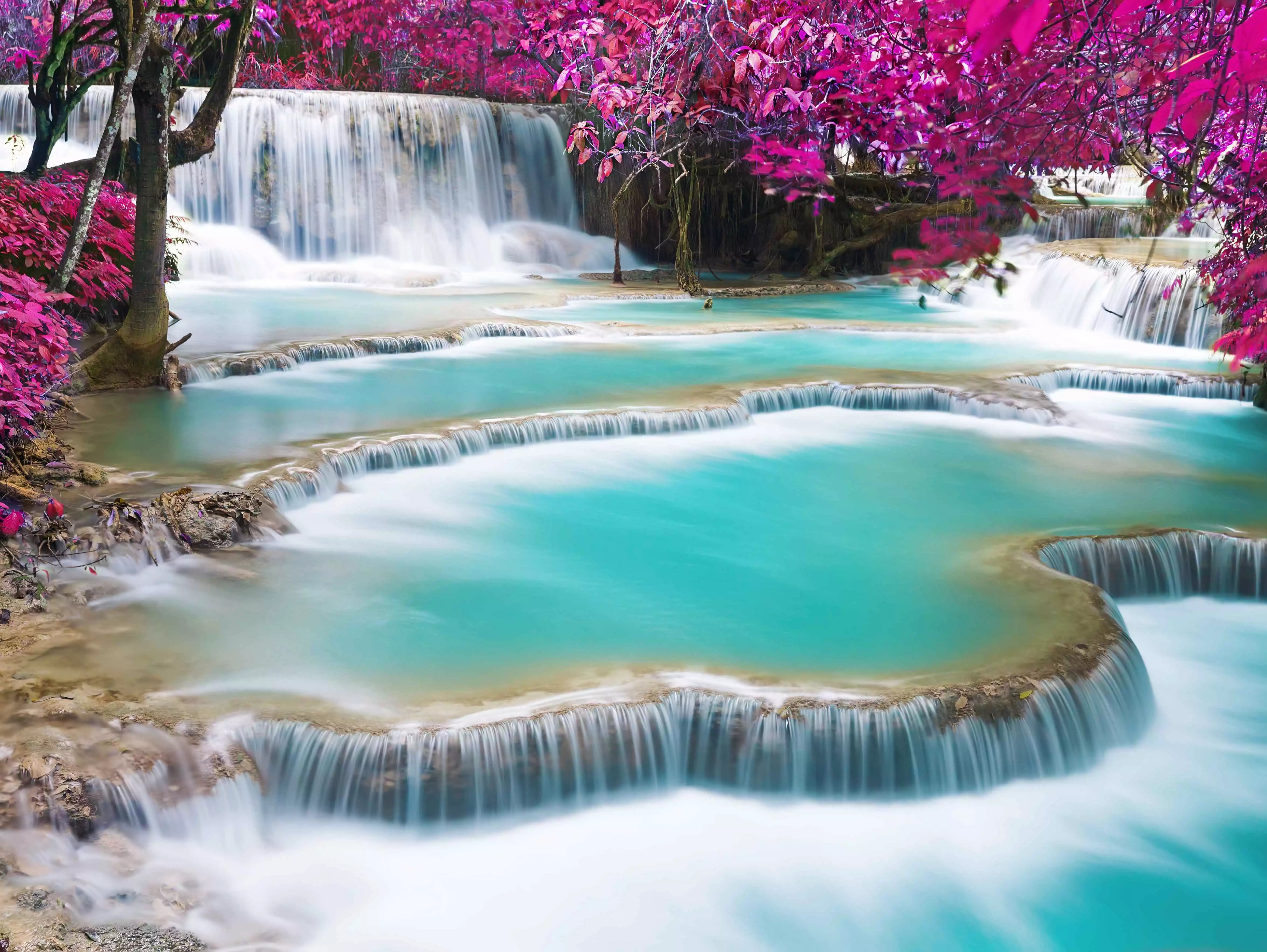 New 2024-25 Southeast Asia brochure