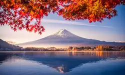 New Year Sale - Extended