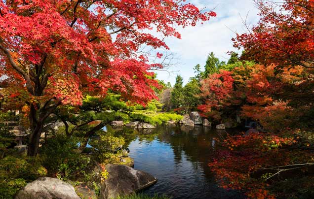 Day 4: Himeji Castle