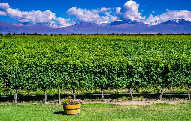 DAY 17: Across the Andes