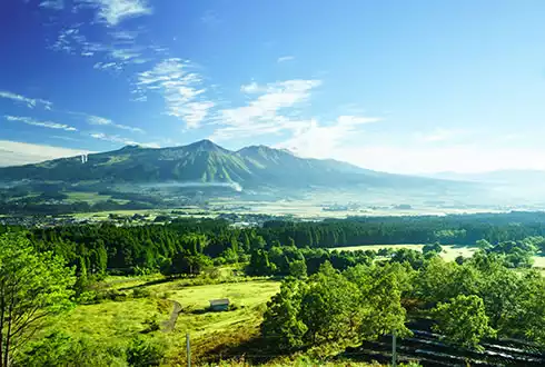 Japan & the Scenic South