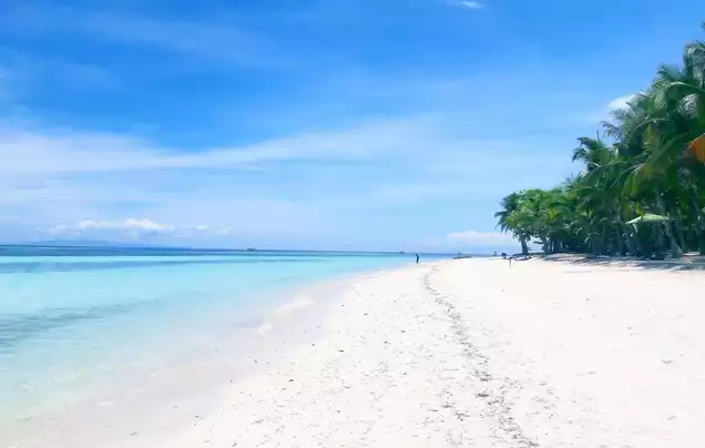 Day 11 - Fly to Bohol