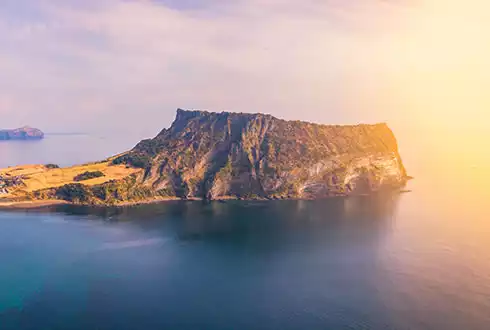 Jeju Island Extension