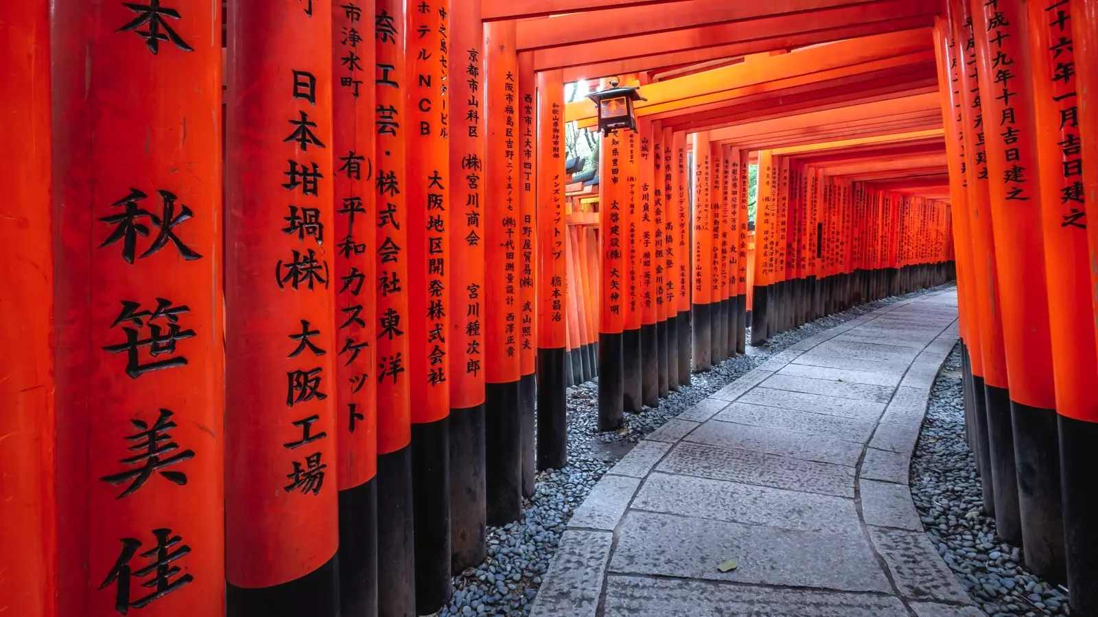 Japan Brochure Launch - Virtual Travel Show