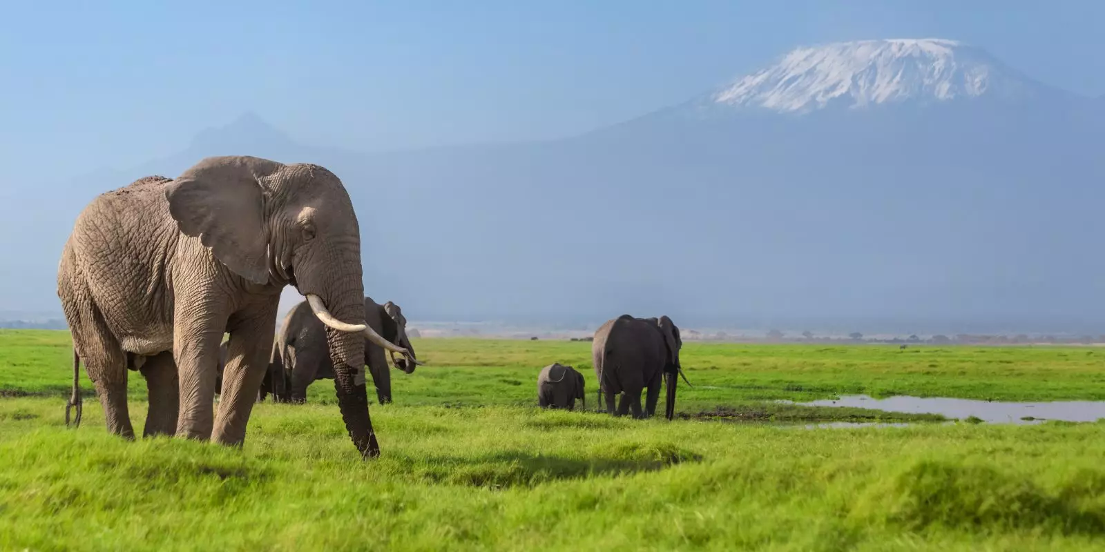 New Journeys for 2026