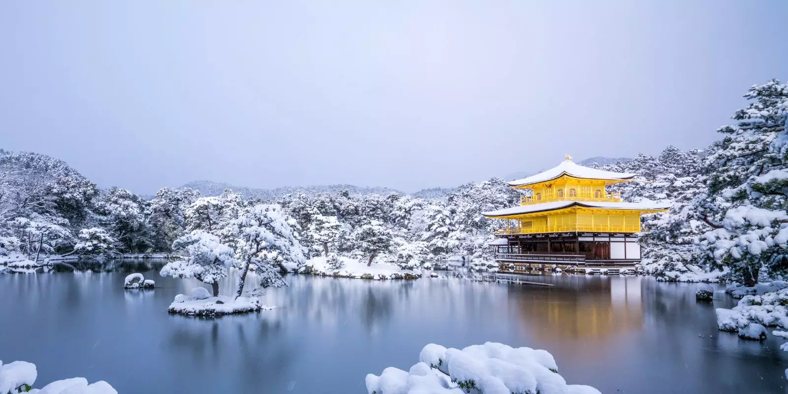 Christmas Collection Offer