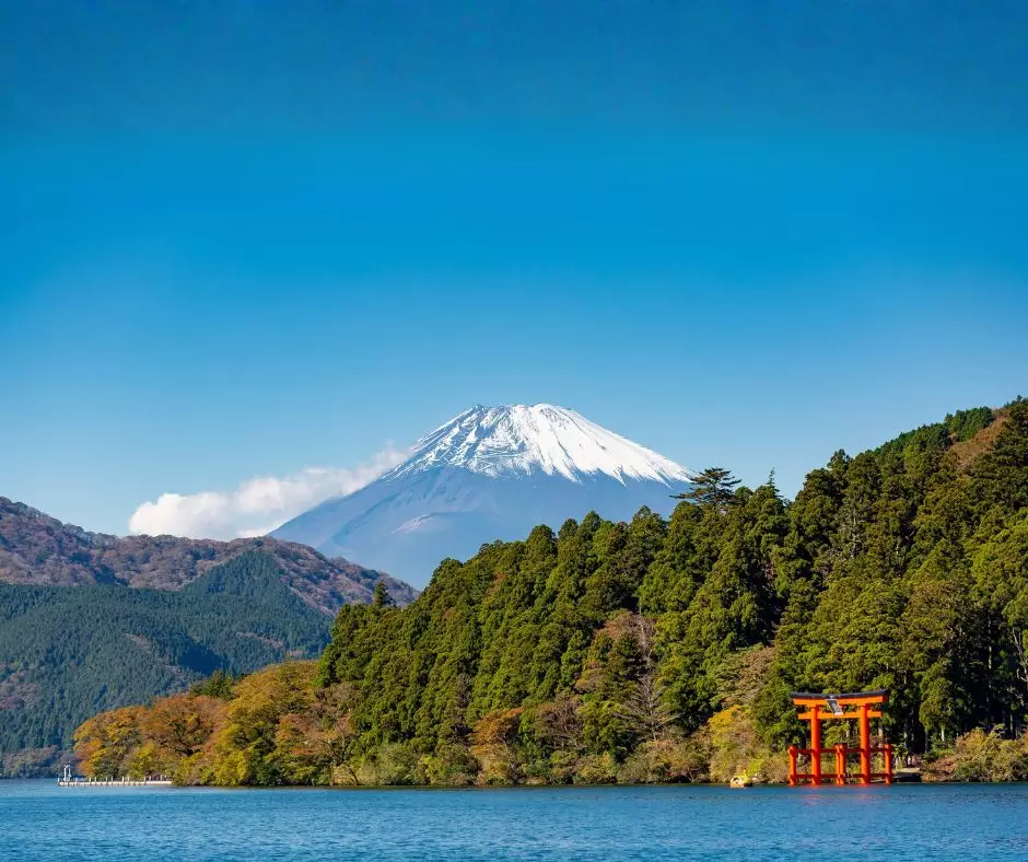Japan Brochure Launch Virtual Show