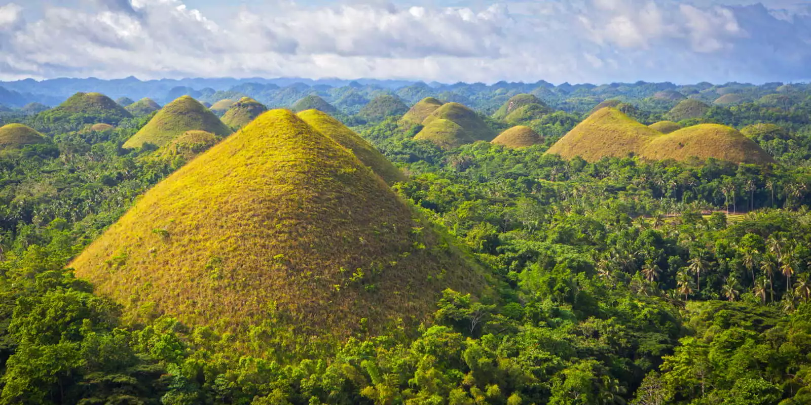 Chocolate Hills