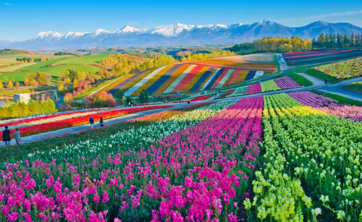 Northern Japan: Secrets of Hokkaido