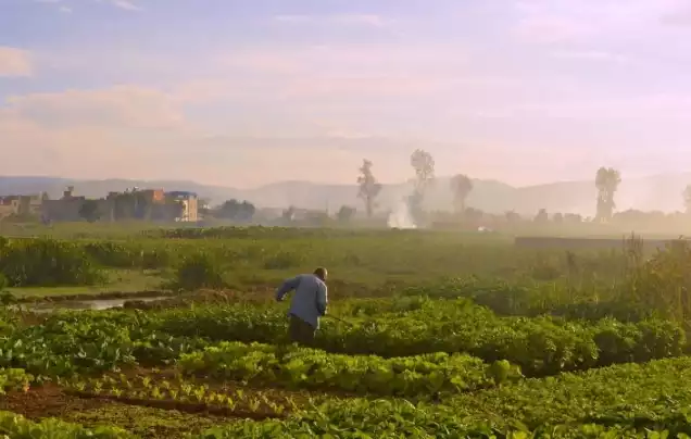 Day 19: Journey to Beijing