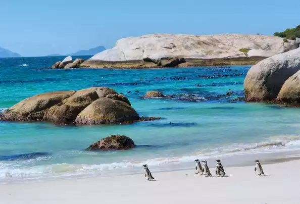 Day 12: Cape Peninsula