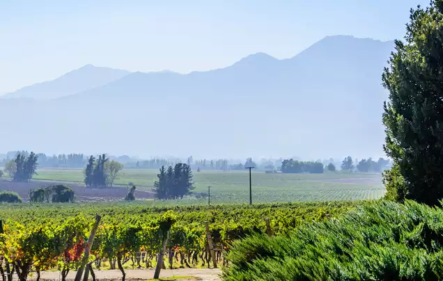 Day 3: Depart Maipo Valley