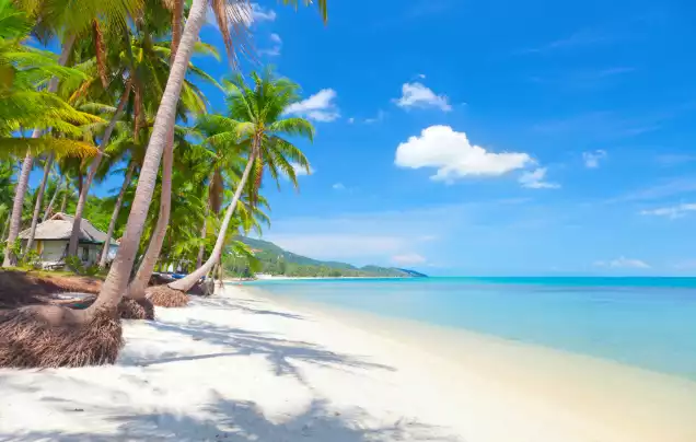 Day 1: Arrive Koh Samui