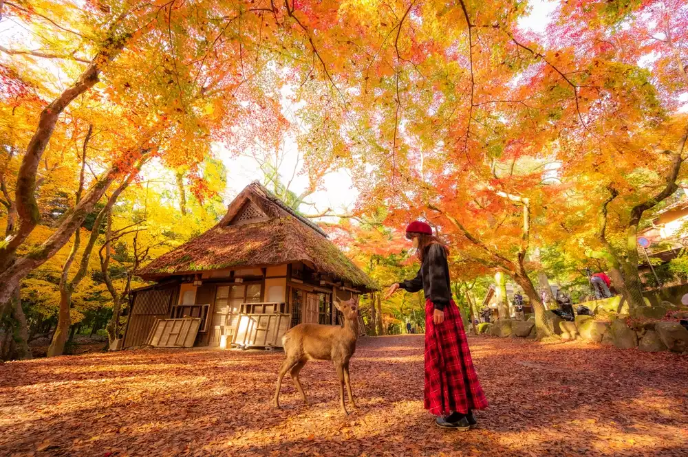 Nara