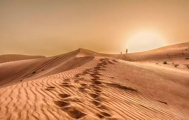 Day 3: Desert Safari in Abu Dhabi