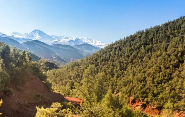 Day 13: Visit the Ourika Valley