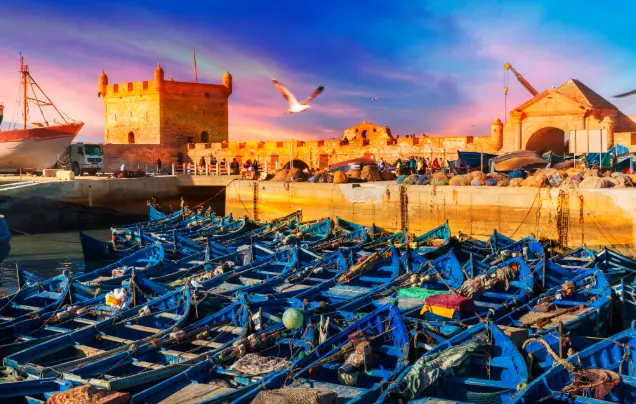 Day 14: Travel to Essaouira
