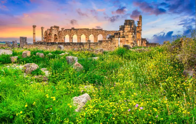 Day 5: Journey to Fez