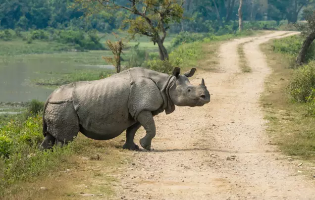 Day 2: Safari in the Park