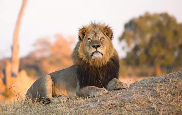 Day 5: Discover Hwange