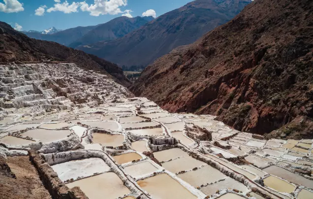 Day 4: Train to Machu Picchu