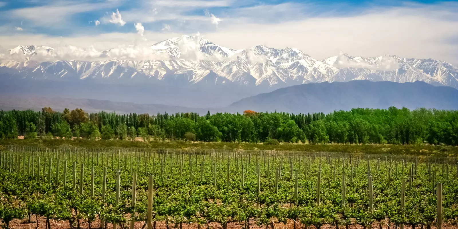 Wines & Wonders of South America 