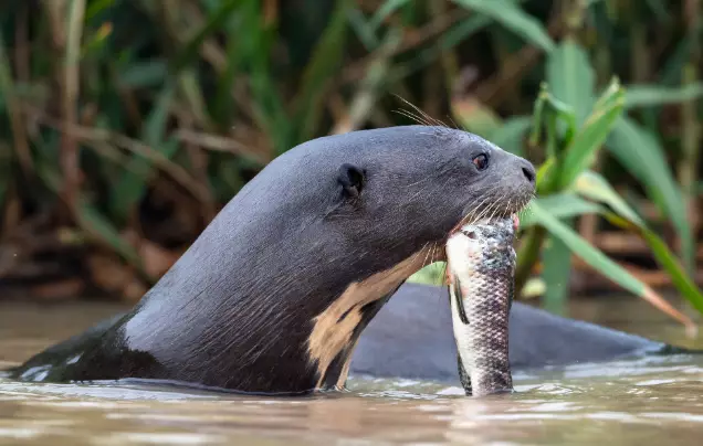 Day 11: Return to Quito