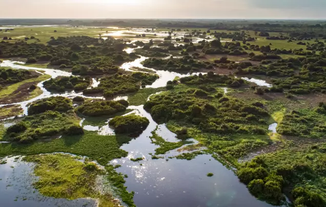 Day 7: Journey to Campo Grande