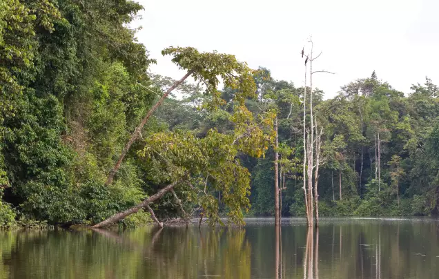 Day 8: Return to Kota Kinabalu