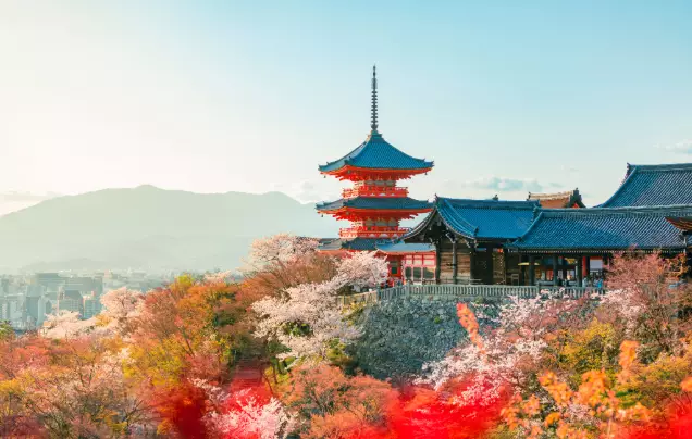 Days 13-14: Cruise - Osaka (Kyoto)