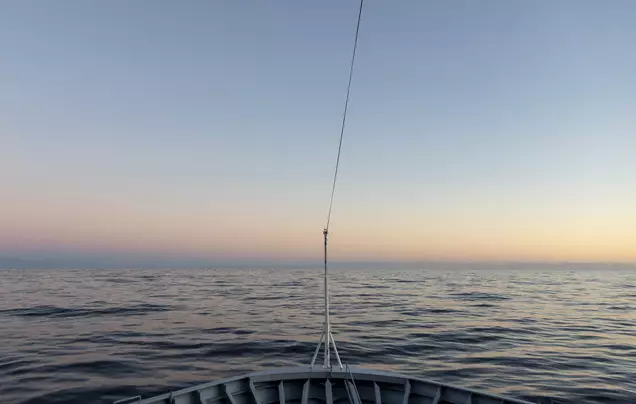 Days 10-11: Cruise – Drake Passage