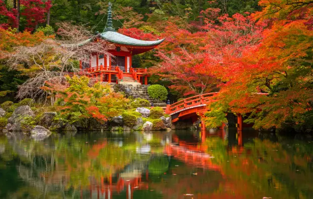 Day 19: Cruise – Osaka (Kyoto)