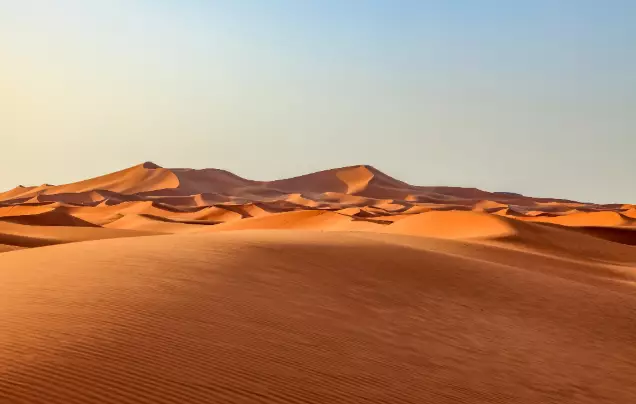 Day 12: Desert Adventure