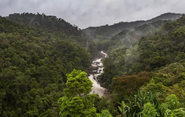 Day 6: Travel to Ranomafana