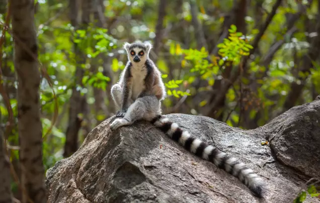 Day 8: Visit Valbio Research Centre