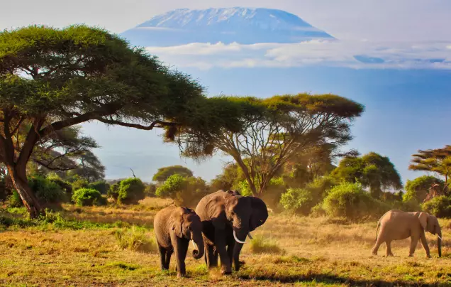 Day 2: Travel to Amboseli