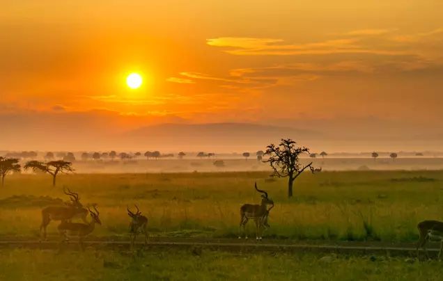 Day 8: Journey to the Maasai Mara