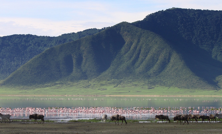 Where to See the Big Five