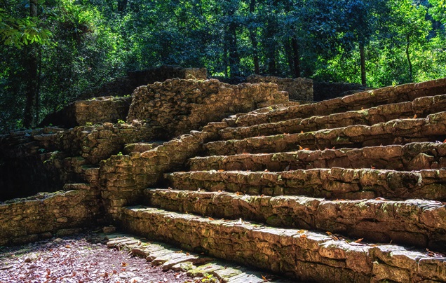 Day 17: Discover Palenque