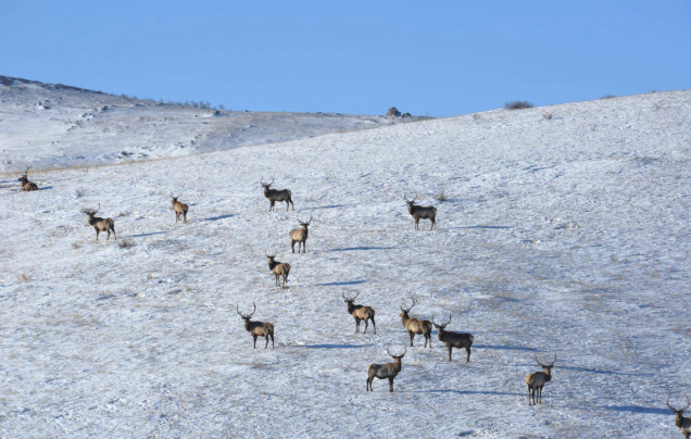 Day 6: Depart Ulaanbaatar
