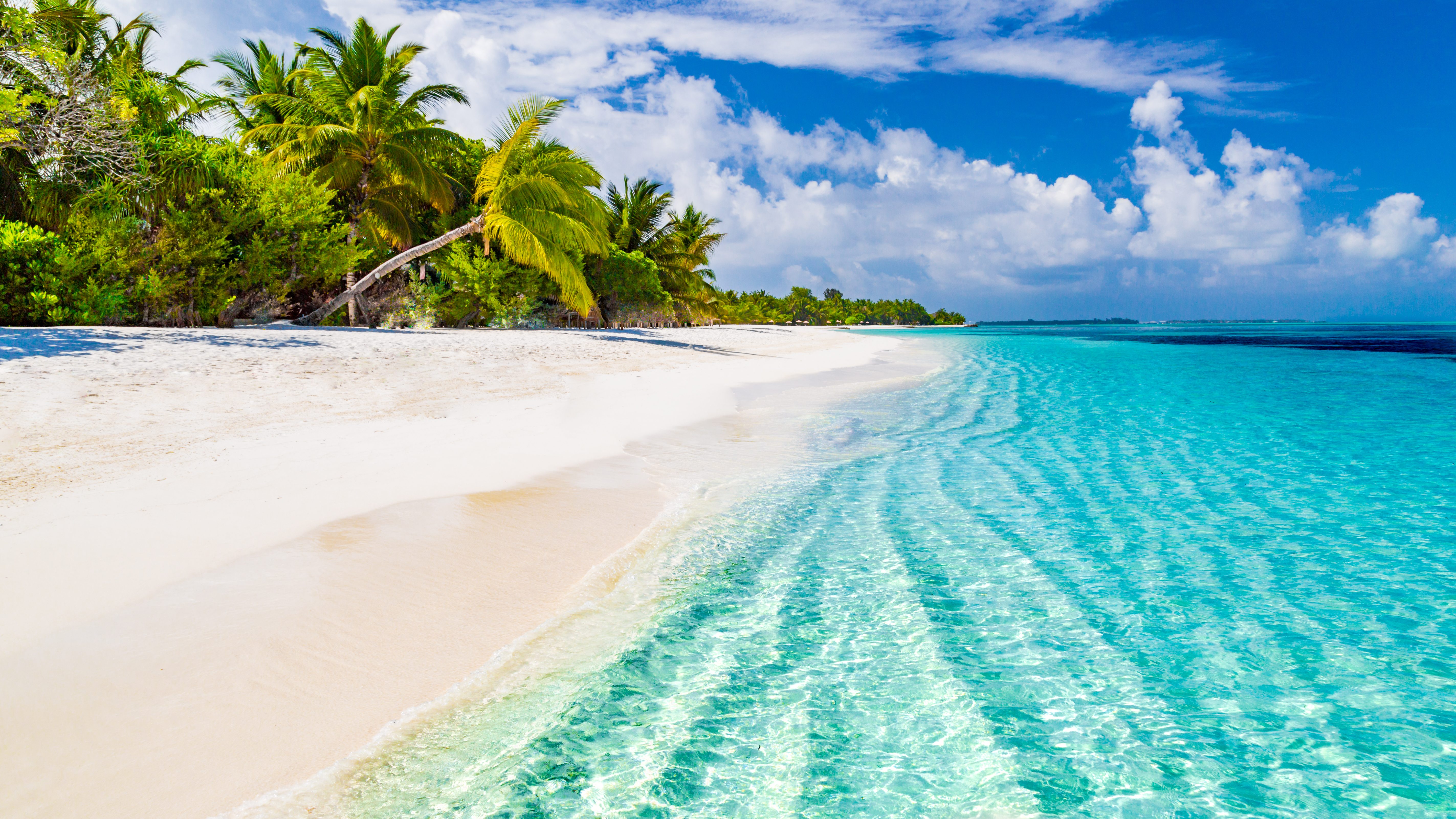 The Maldives