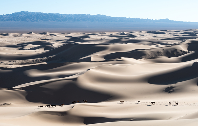 Day 6: Through the Gobi