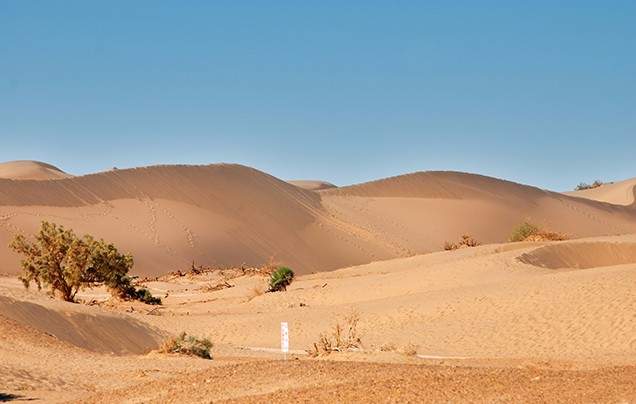 DAYS 5: GOBI DESERT