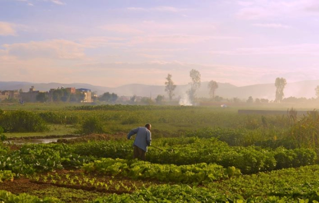Day 19: Train to Beijing